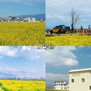 大理州旅游 缩略图 3
