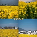 大理州旅游 缩略图 2