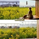 大理州旅游 缩略图 7