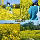 大理州旅游 缩略图 6