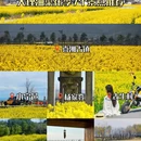 大理州旅游 缩略图 1