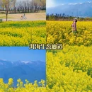 大理州旅游 缩略图 8