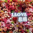 上海旅游 缩略图 5