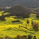 上海旅游 缩略图 15