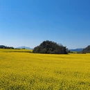 昆明旅游 缩略图 3