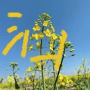 玉溪旅游 缩略图 3