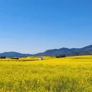 昆明旅游 缩略图 2