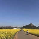 昆明旅游 缩略图 4