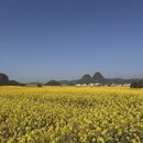 昆明旅游 缩略图 3
