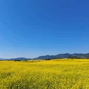 昆明旅游 缩略图 1