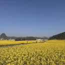 昆明旅游 缩略图 5