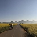 昆明旅游 缩略图 6