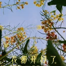 上海旅游 缩略图 8