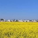 大理州旅游 缩略图 1