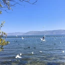 大理州旅游 缩略图 3