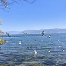 大理州旅游 缩略图 4