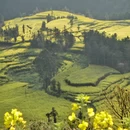 黔东南旅游 缩略图 3