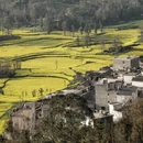 黔东南旅游 缩略图 7