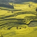 黔东南旅游 缩略图 4
