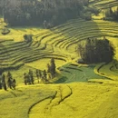 黔东南旅游 缩略图 5