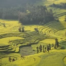 黔东南旅游 缩略图 2