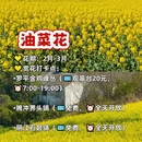 昆明旅游 缩略图 5