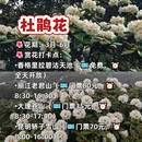 昆明旅游 缩略图 3