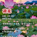 昆明旅游 缩略图 6