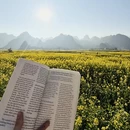 黔西南旅游 缩略图 2