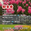 昆明旅游 缩略图 7