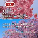 昆明旅游 缩略图 4
