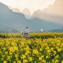 黔西南旅游 缩略图 8