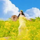 佛山旅游 缩略图 1