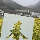 黔西南旅游 缩略图 11