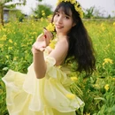佛山旅游 缩略图 5