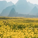 黔西南旅游 缩略图 12