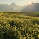 黔西南旅游 缩略图 9
