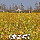 上海旅游 缩略图 3