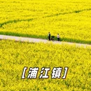 上海旅游 缩略图 2