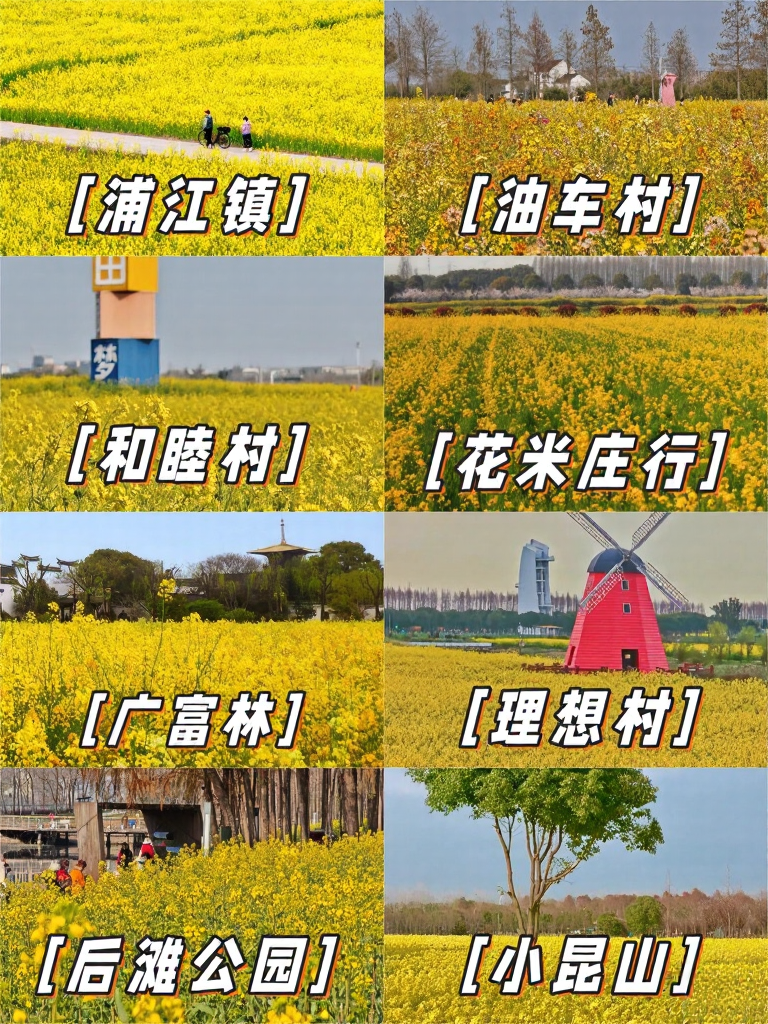 上海旅游