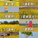 上海旅游 缩略图 1