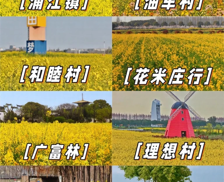 上海旅游 1