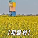 上海旅游 缩略图 4