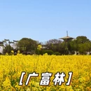 上海旅游 缩略图 6