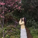 曲靖旅游 缩略图 7