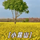 上海旅游 缩略图 9