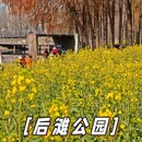 上海旅游 缩略图 8