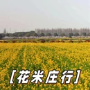 上海旅游 缩略图 5