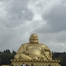 曲靖旅游 缩略图 11
