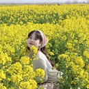 扬州旅游 缩略图 4